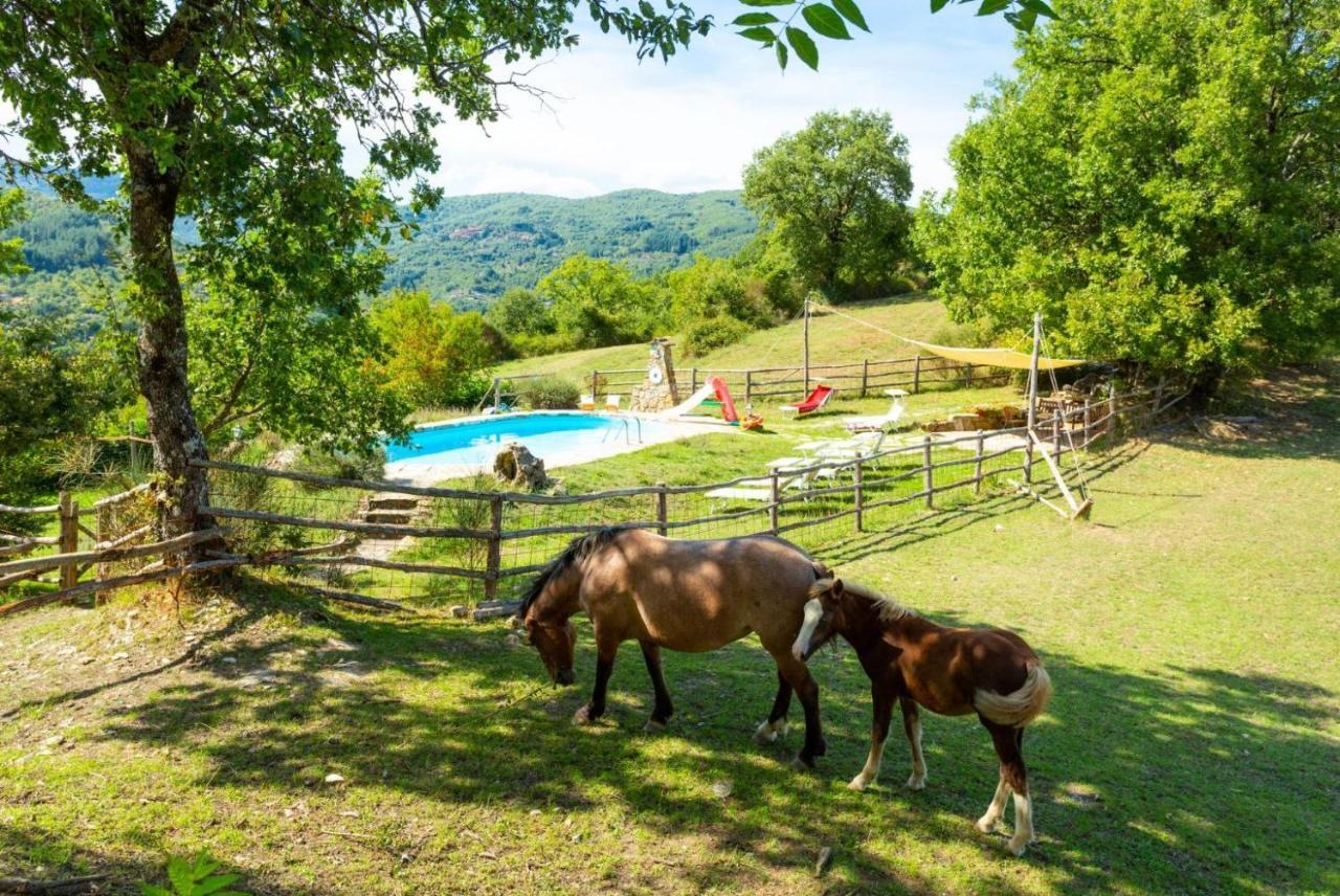 Villa Bellavista Арецо Екстериор снимка
