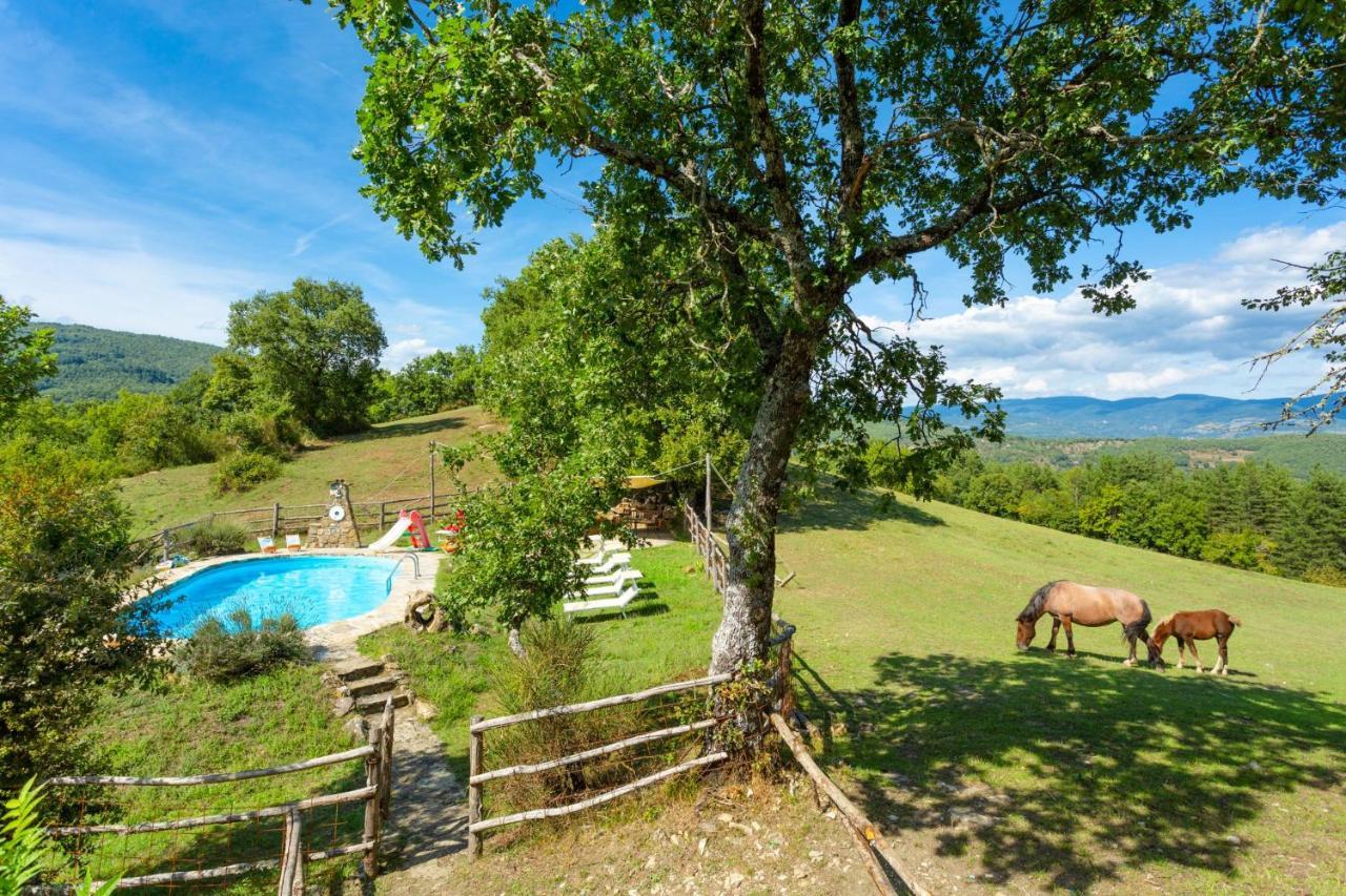 Villa Bellavista Арецо Екстериор снимка